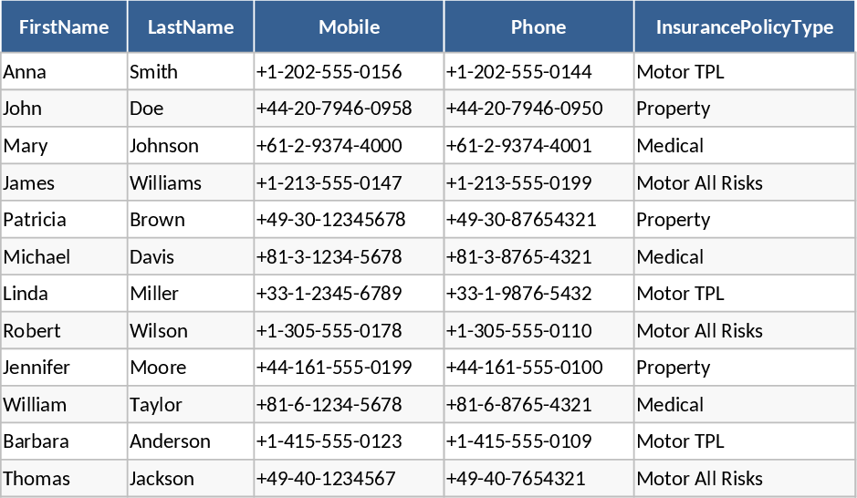 Insurance Policy and Customer Management Template
