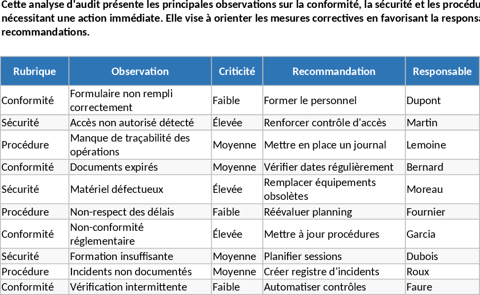Professional Audit Report with Charts and Commentary Template