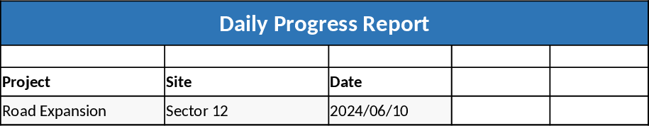 Daily Project Progress and Resource Tracking Template
