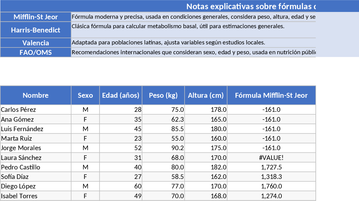 総合BMR・TDEE計算 テンプレート