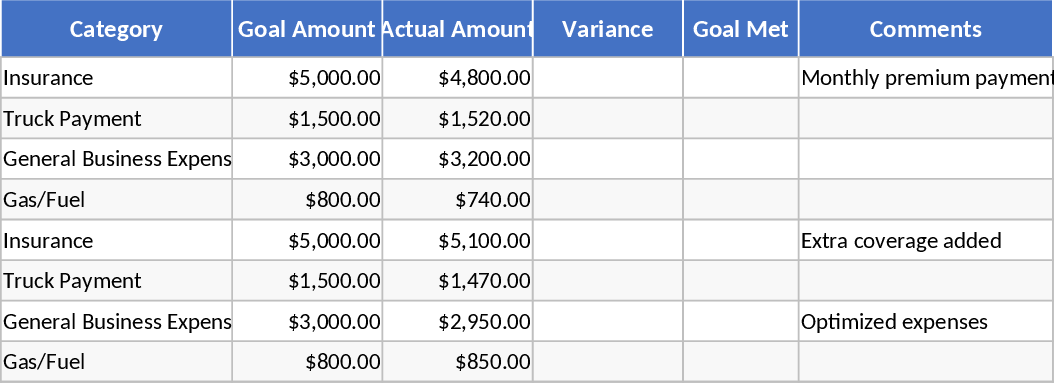 전문 비즈니스 비용 추적 및 목표 시각화 템플릿
