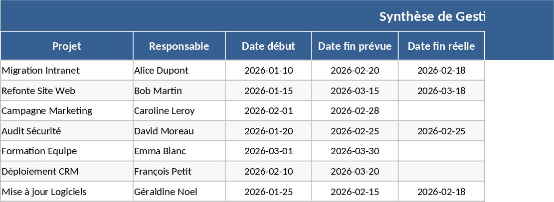 Project Management and Delay Tracking Template