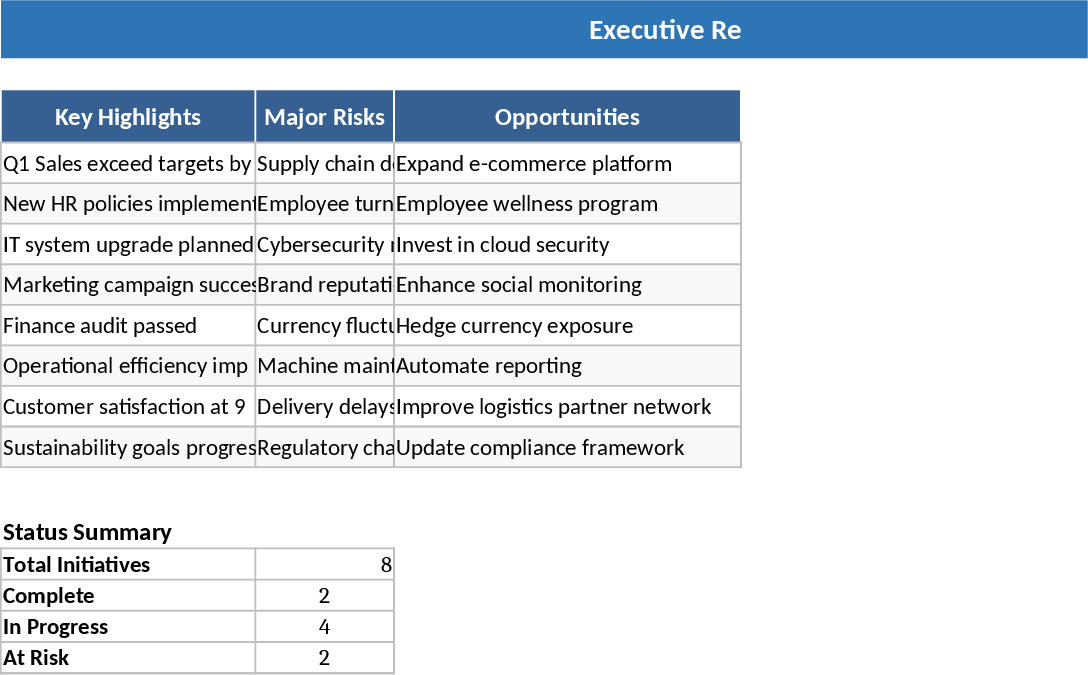 Executive Business Performance Report Template