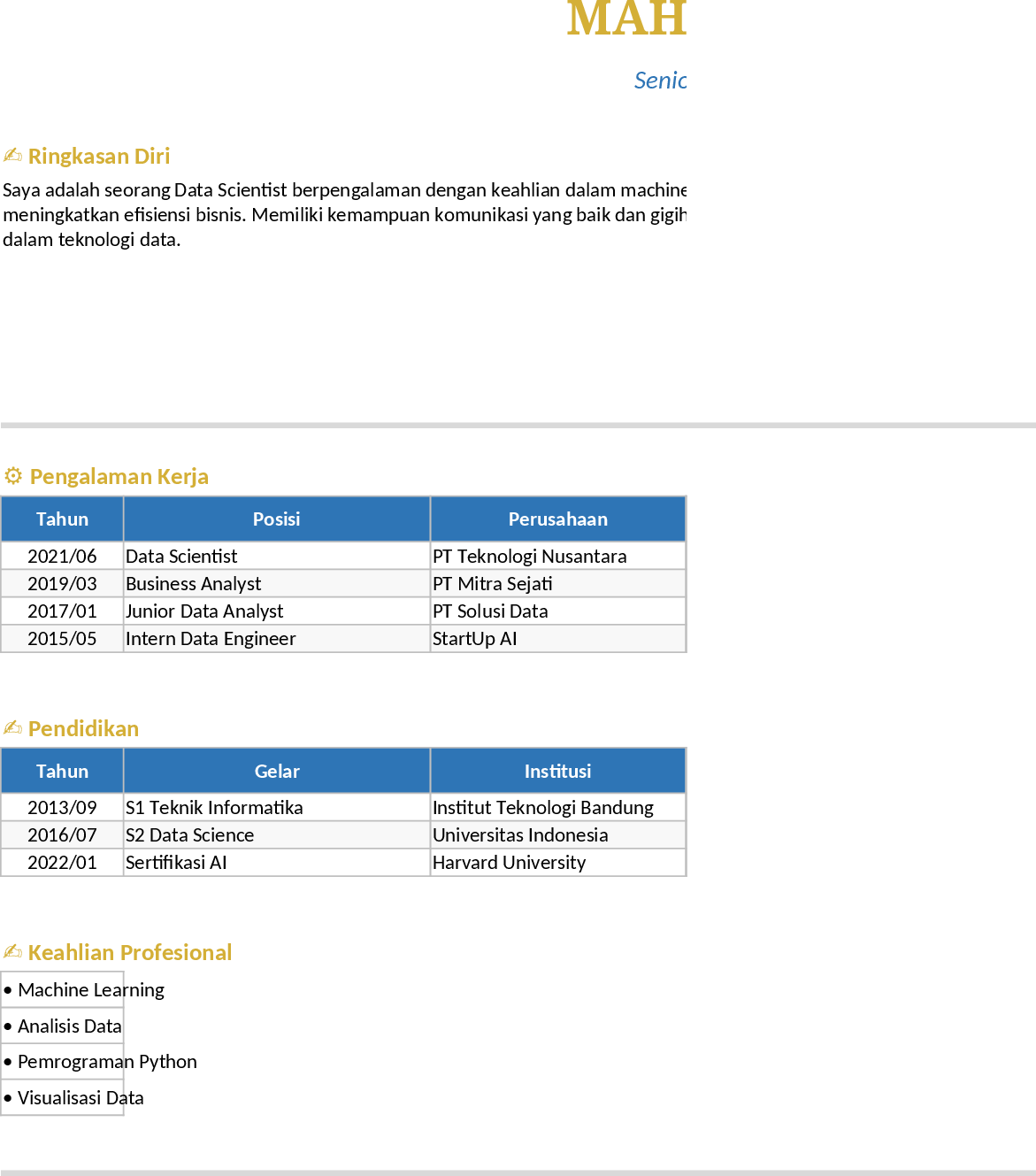 Professional Resume and CV Template