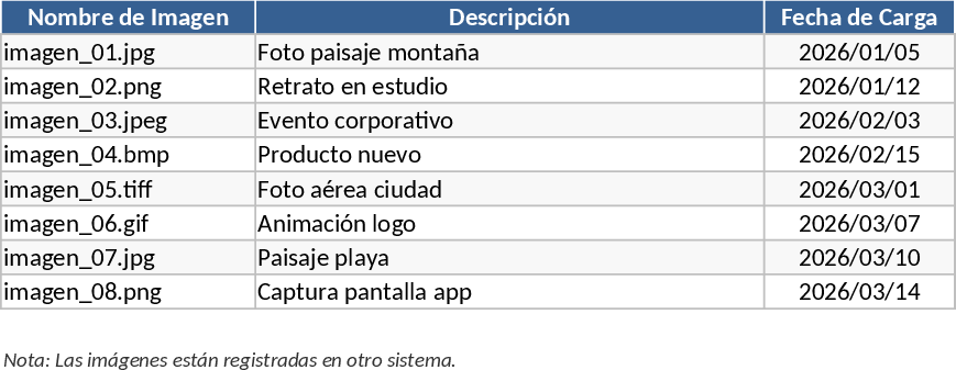 Image to Excel Data Entry Template