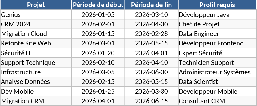 IT Staffing Management Template