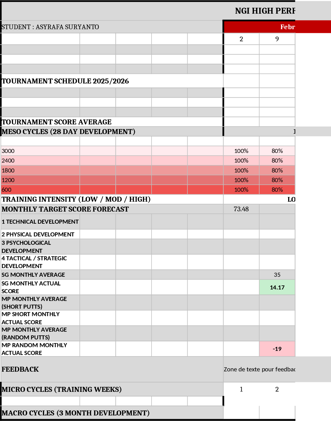 Periodización de Alto Rendimiento NGI 2025 Plantilla