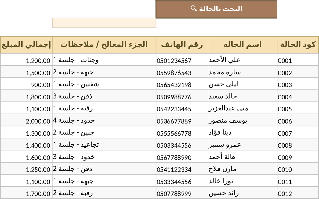 Cosmetic Clinic Case and Payment Management Template