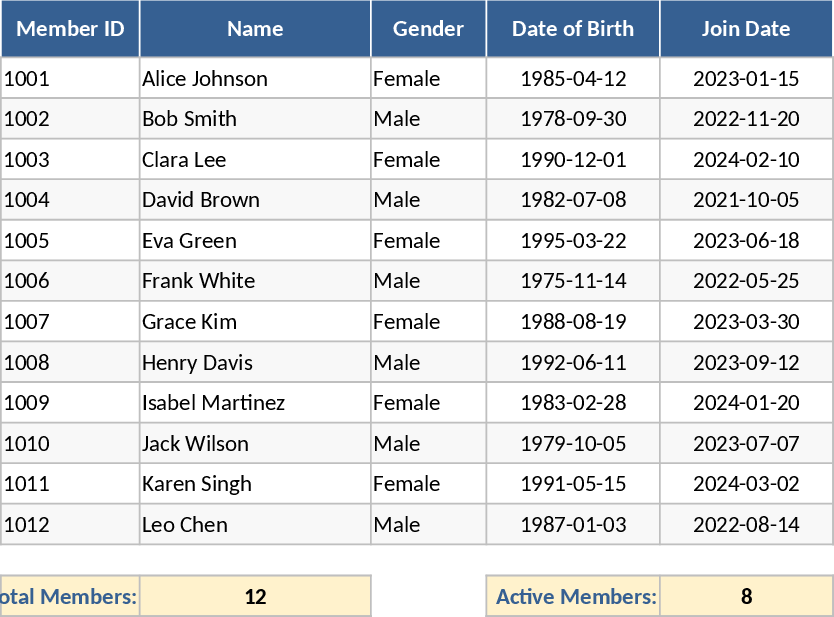 Microfinance Management and Loan Tracking Dashboard Template