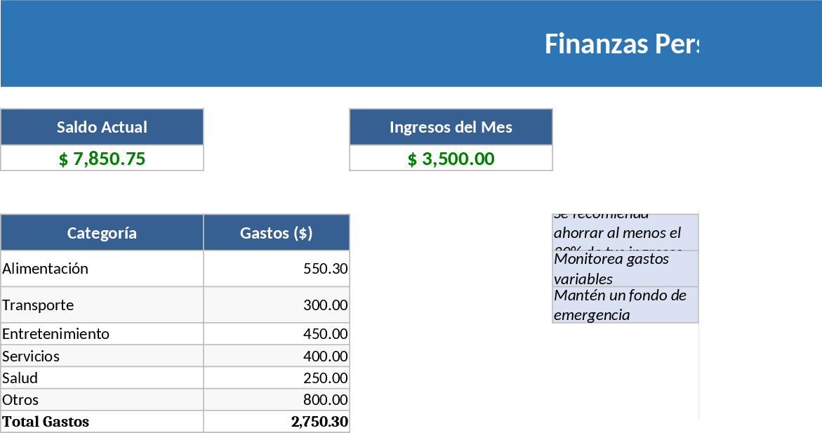 Professional Personal Finance Tracker Template