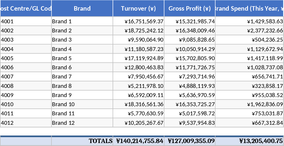 Multi-Brand Performance and Budget Tracking Template