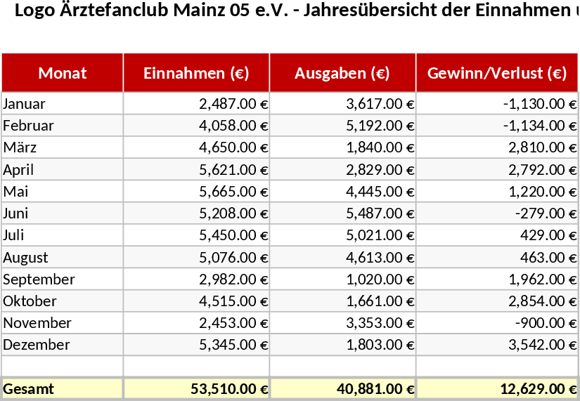 Ärztefanclub Mainz 05 e.V. 2026 Income and Expense Template
