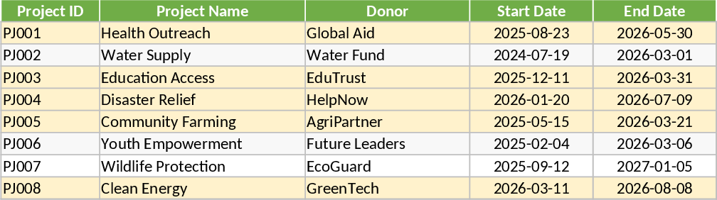 NGO Staff Salary Allocation and Project Funding Forecast Template