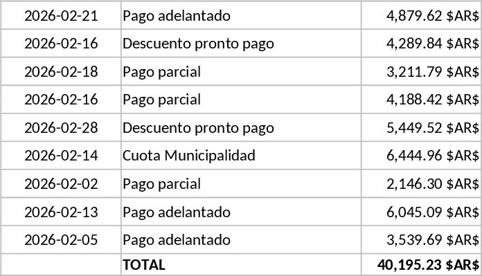 Professional Monthly Rent Settlement and ABL Fee Template