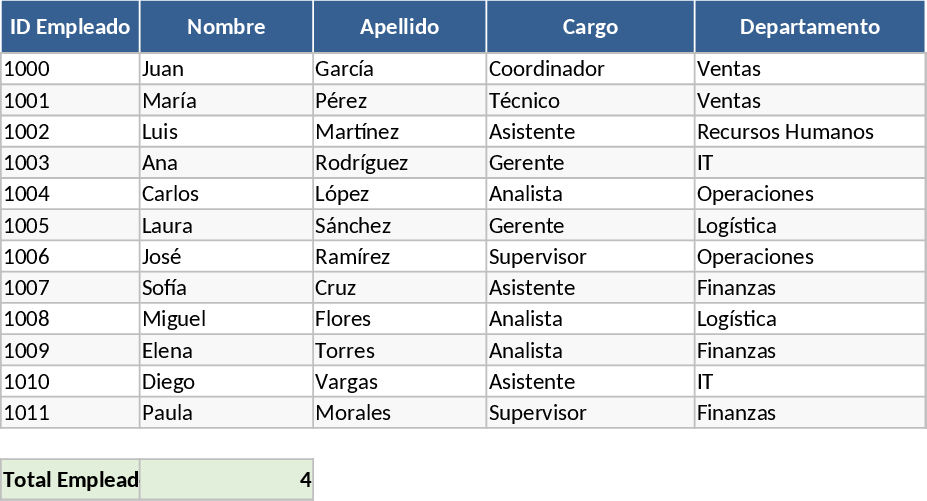 Comprehensive HR Management and Performance Dashboard Template
