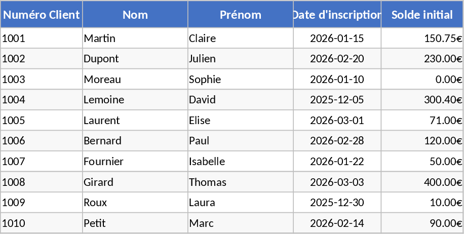 Sports Club POS and Customer Account Management Template