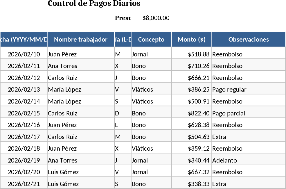 Daily Worker Payment and Budget Tracking Template