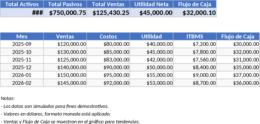 Professional Business Accounting System with Secure Financial Reporting Template
