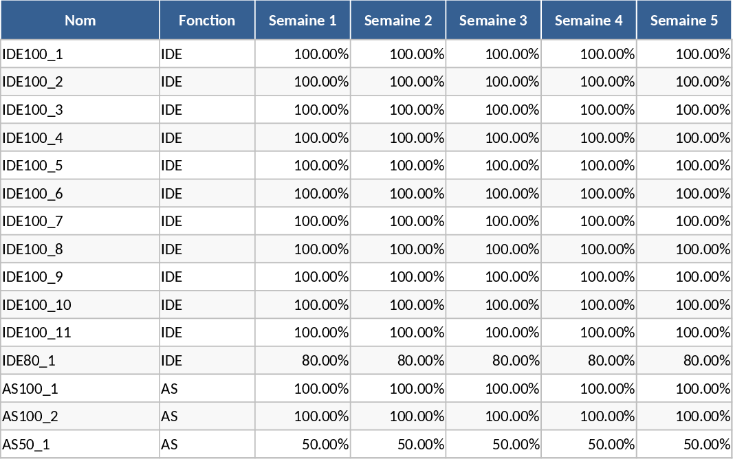 IDE and AS Resource Allocation and Capacity Planning Template