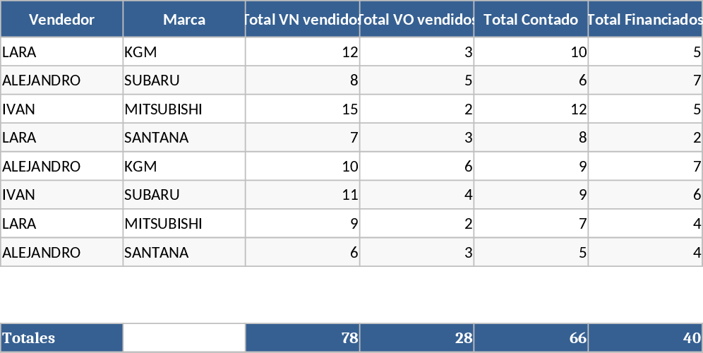 Multi-Brand Dealership Sales and Financing Tracking Template