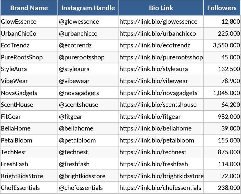 Instagram E-commerce Brand Directory and Follower Count Template