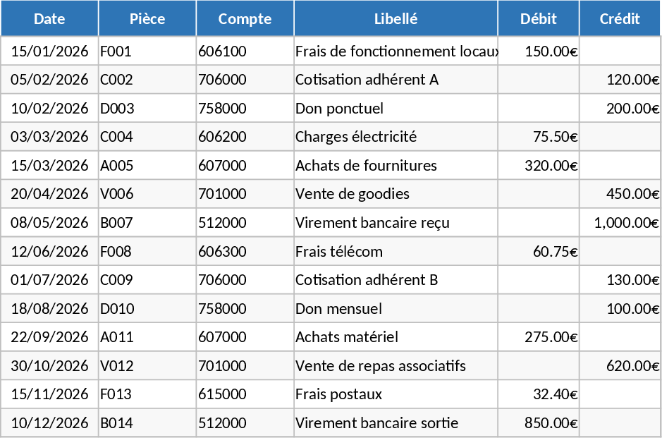 Modelo SYCEBNL para ONG Automatizado Modelo