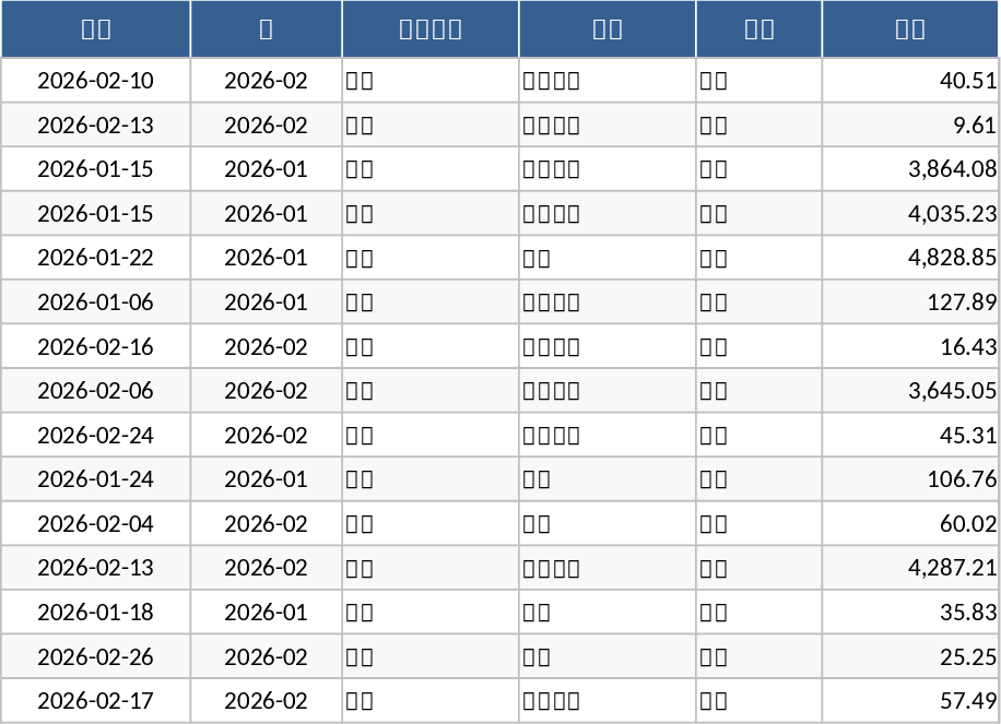 개인 월간 예산 및 지출 추적 템플릿