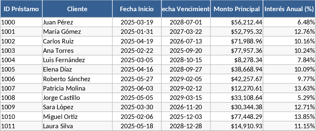 전문 대출 포트폴리오 관리 및 위험 분석 템플릿