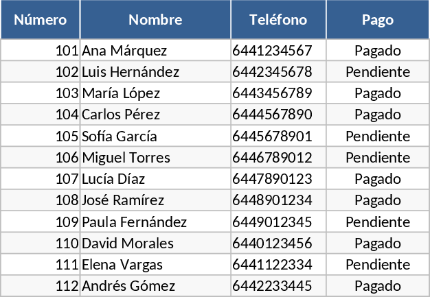 Raffle Ticket and Payment Tracker Template