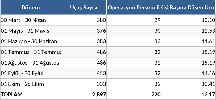 여름 시즌 월별 항공편량·인원 템플릿